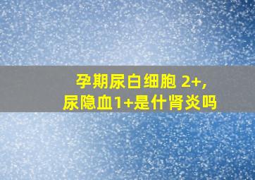 孕期尿白细胞 2+,尿隐血1+是什肾炎吗